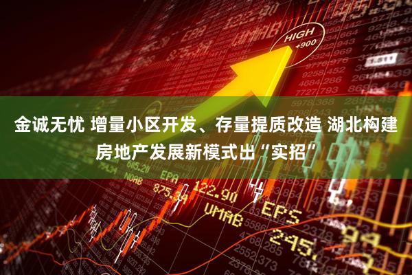 金诚无忧 增量小区开发、存量提质改造 湖北构建房地产发展新模式出“实招”