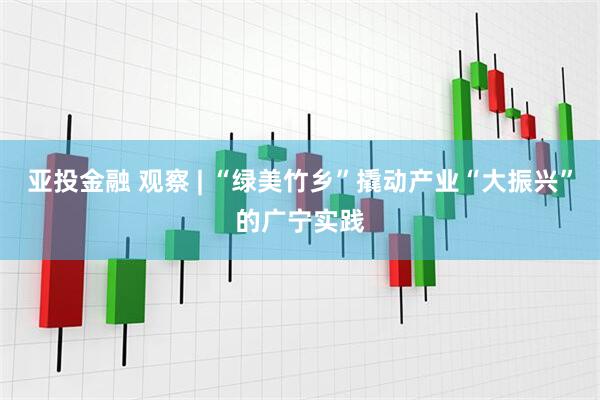 亚投金融 观察 | “绿美竹乡”撬动产业“大振兴”的广宁实践