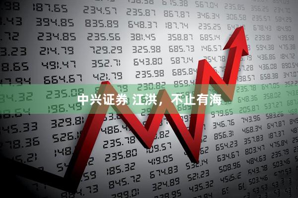 中兴证券 江洪，不止有海