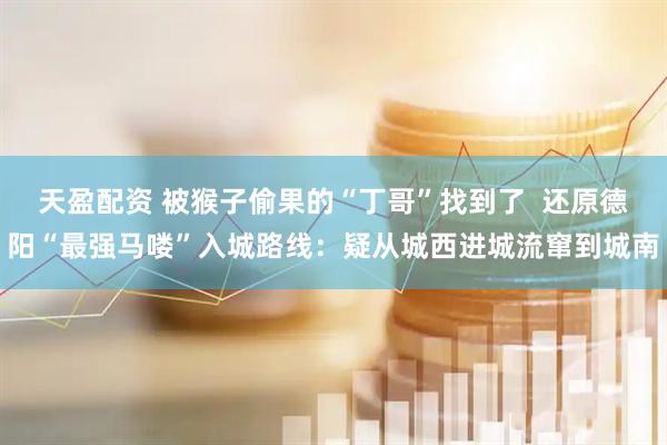 天盈配资 被猴子偷果的“丁哥”找到了  还原德阳“最强马喽”入城路线：疑从城西进城流窜到城南
