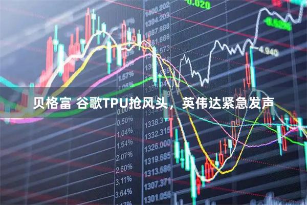 贝格富 谷歌TPU抢风头，英伟达紧急发声