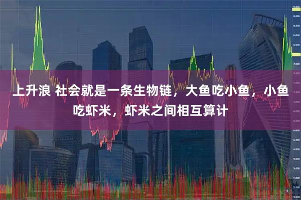 上升浪 社会就是一条生物链,大鱼吃小鱼,小鱼吃虾米,虾米之间相互算计