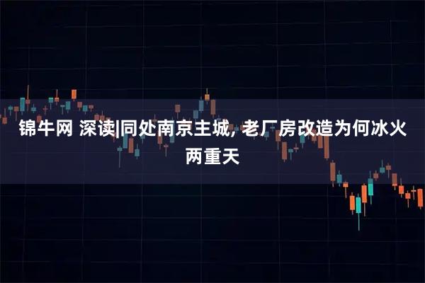 锦牛网 深读|同处南京主城, 老厂房改造为何冰火两重天